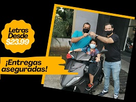 Plants: image 2 0f 5 thumb